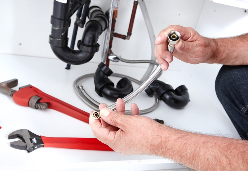 Toilet repair being carried out in Waltham Abbey
